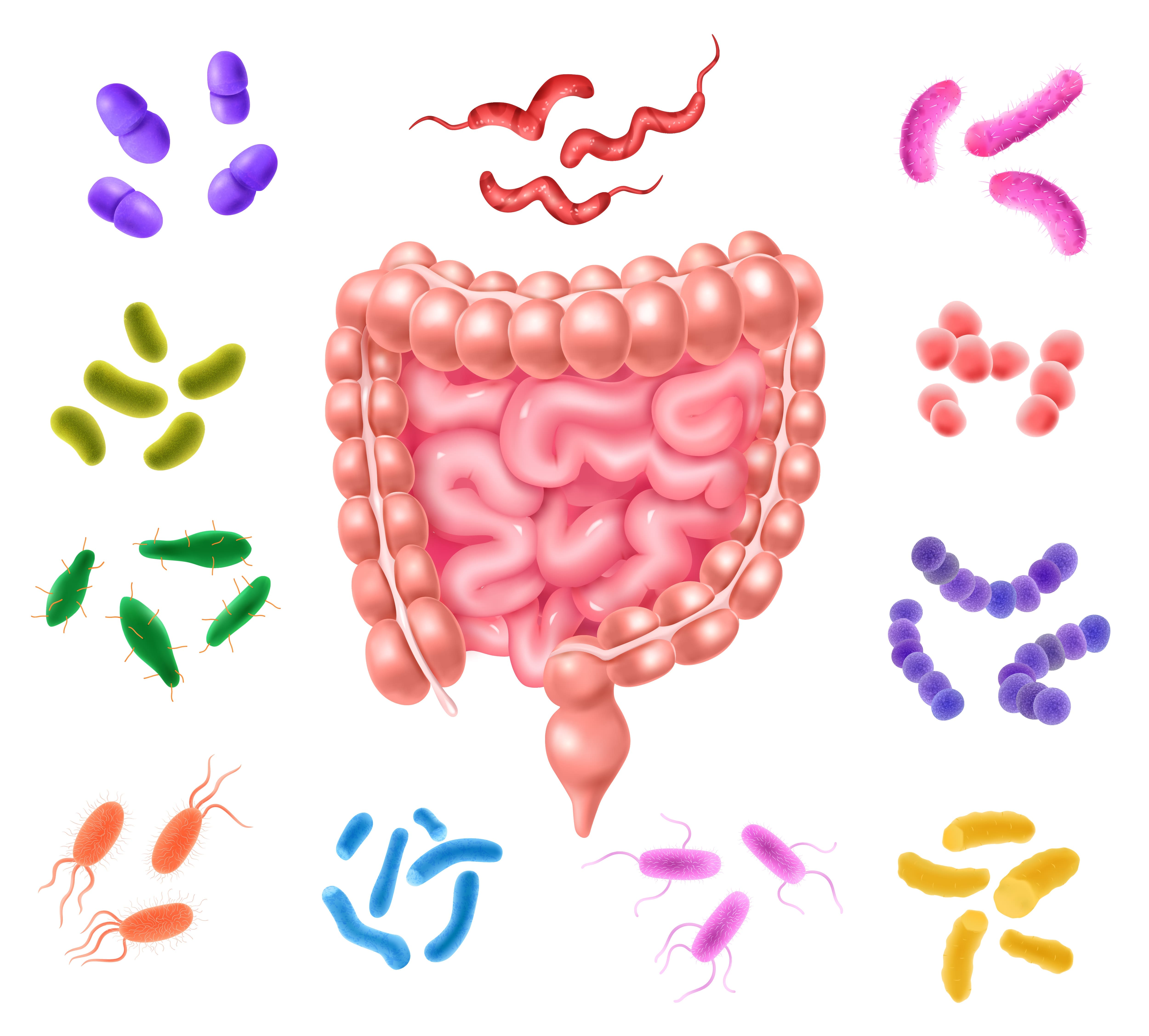 diagnostico-de-problemas-digestivos-en-cdmx.jpg